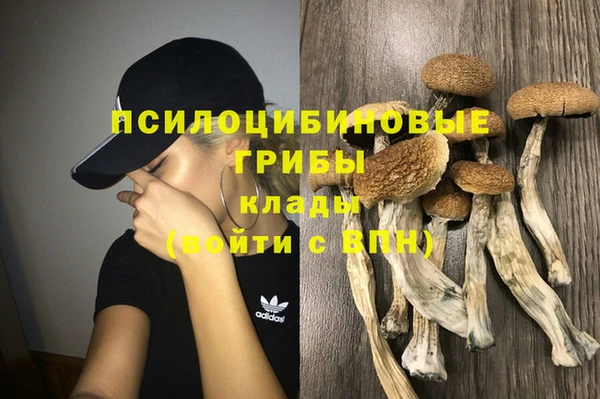 дурь Беломорск