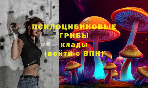 спиды Белокуриха