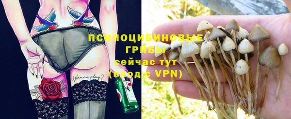 дурь Беломорск